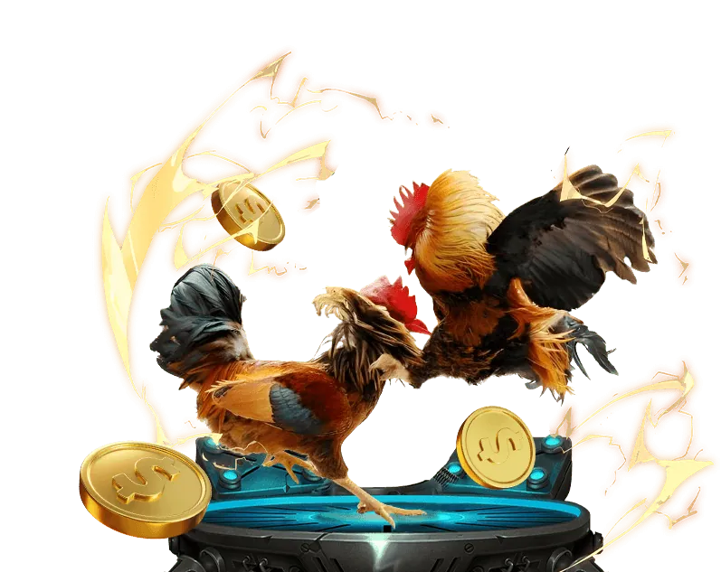 Ưu đãi và khuyến mãi độc quyền của v9bet evb